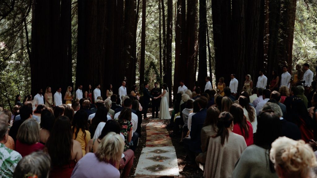 A wedding ceremony under the redwoods at Old Mill Park.