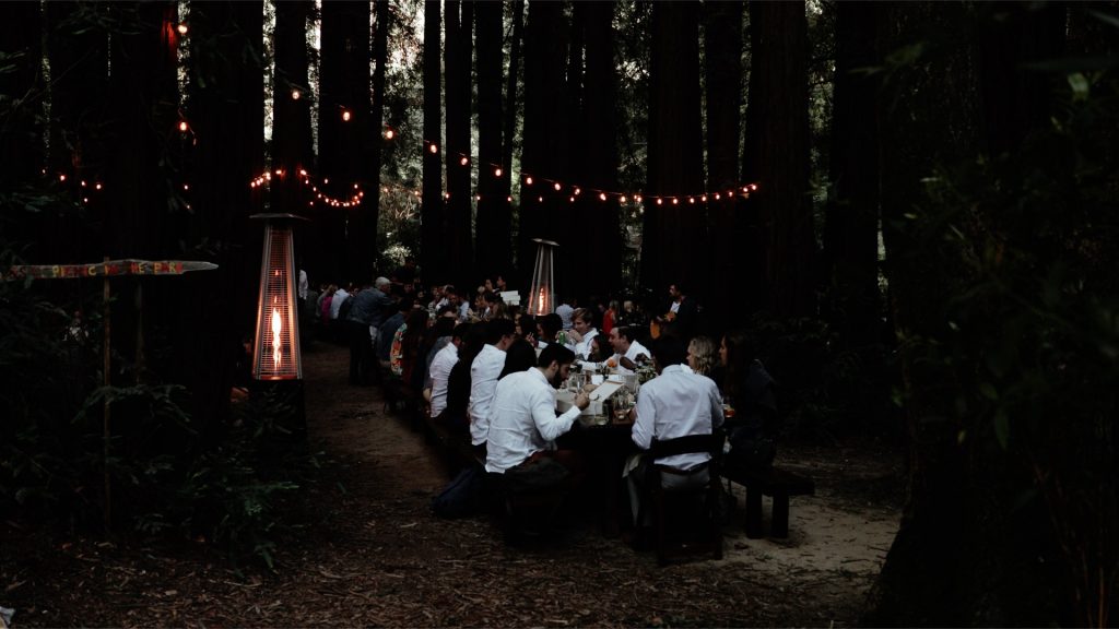 A wedding reception in the redwoods at Old Mill Park.